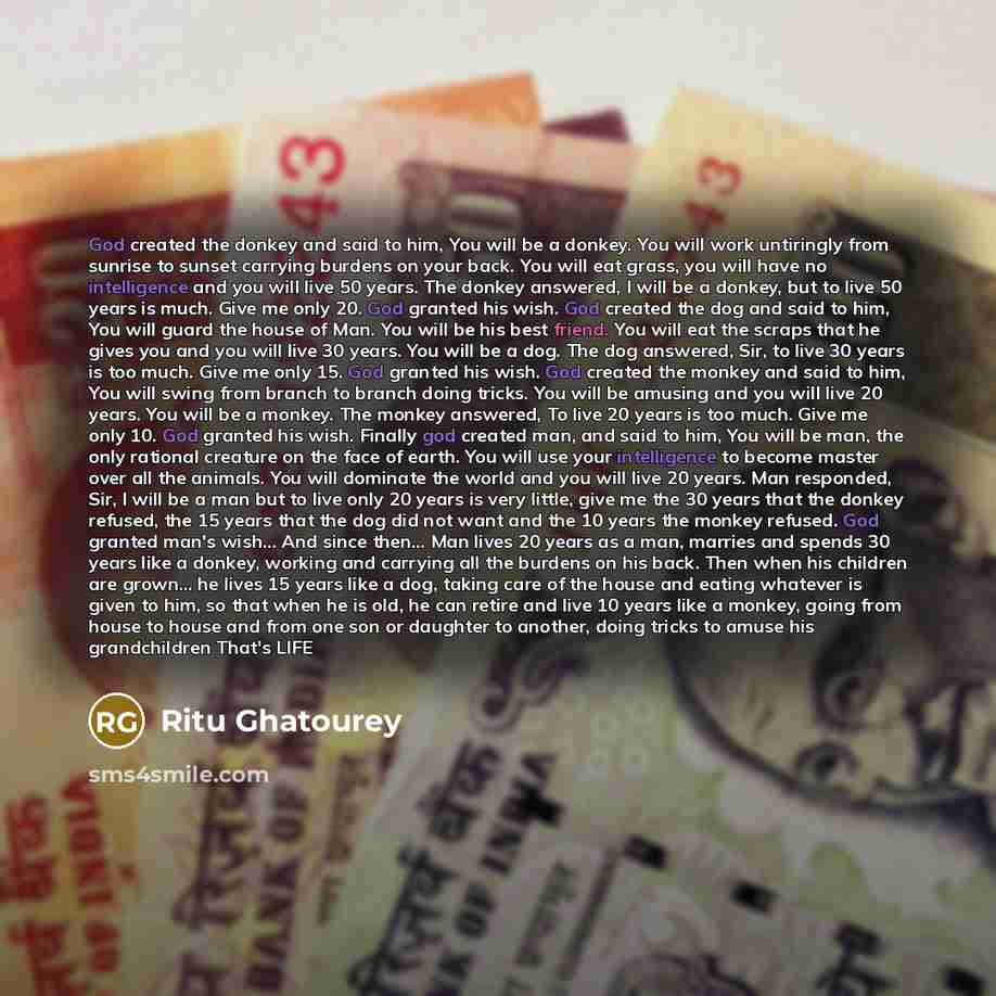 “God created the donkey and said to him, You will…” quote by Ritu Ghatourey