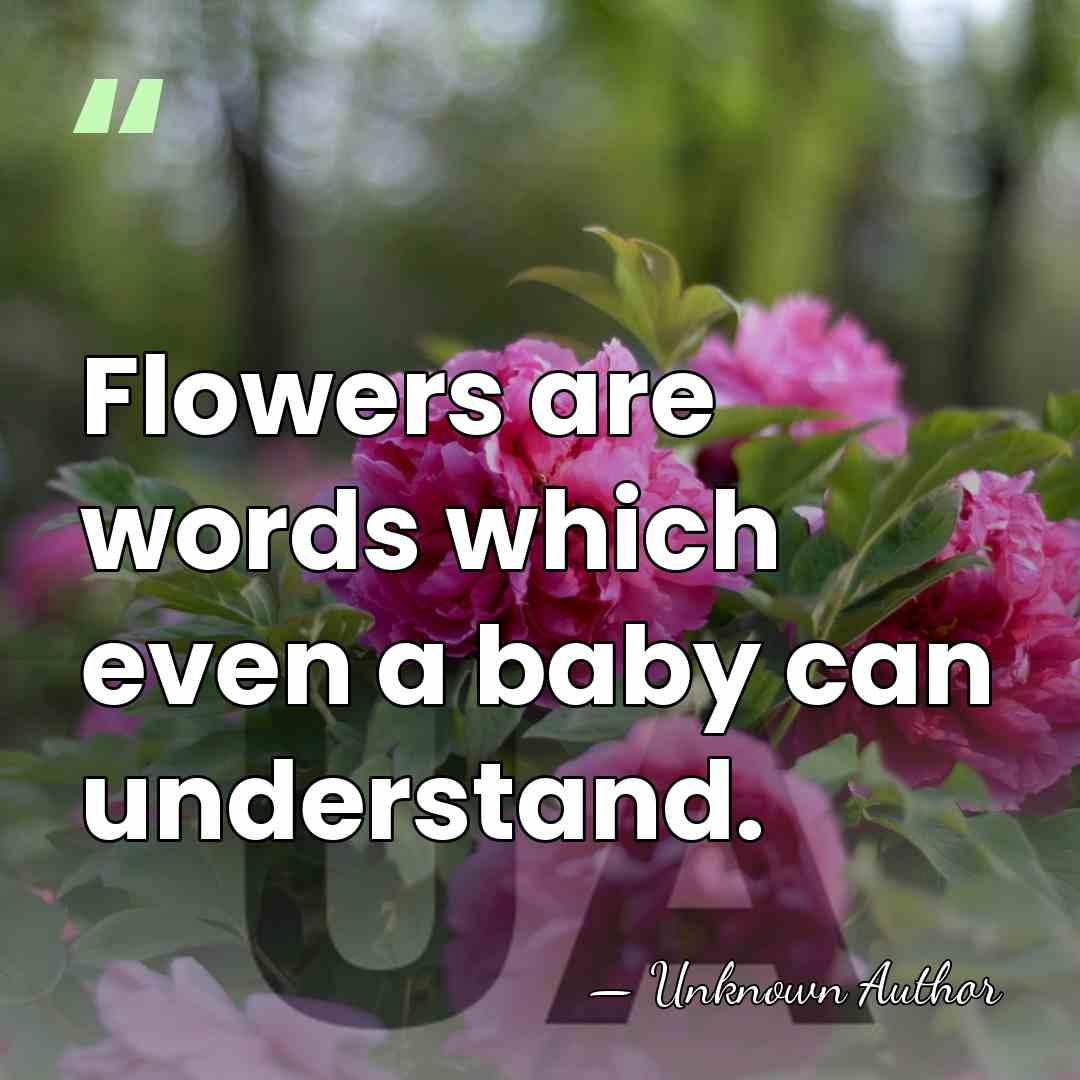 Flowers are words which even a baby can understand. - Arthur Cleveland Coxe