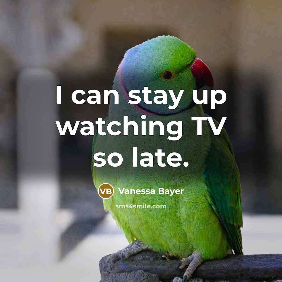 “I can stay up watching TV so late.…” quote by Vanessa Bayer