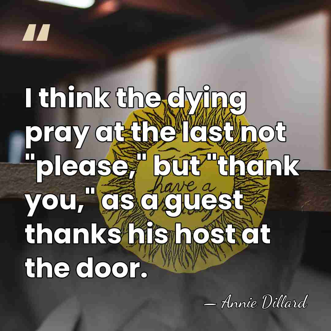 I think the dying pray at the last not "please," but "thank&hellip; - Annie Dillard