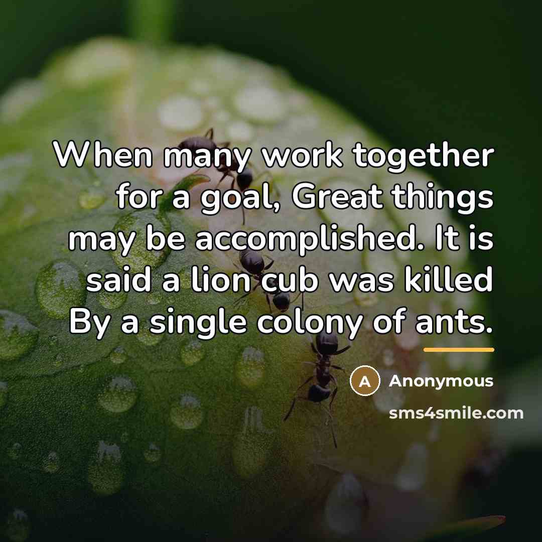 “When many work together for a goal, Great things may…” quote by Anonymous