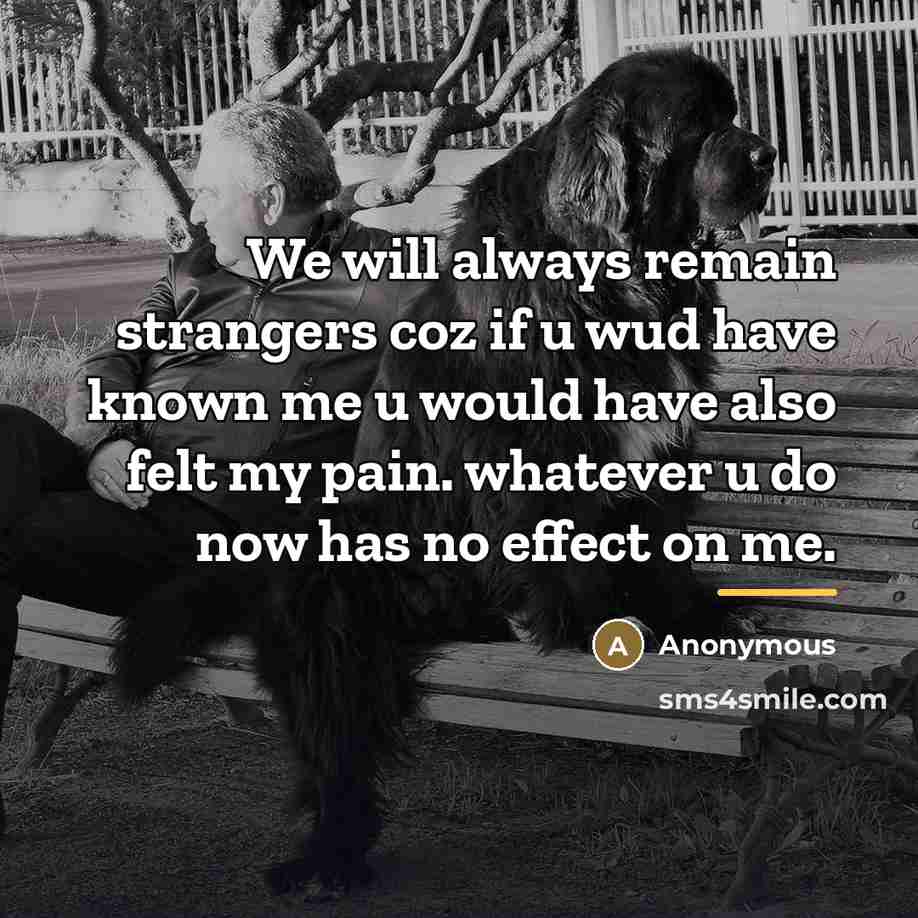 “We will always remain strangers coz if u wud have…” quote by Anonymous