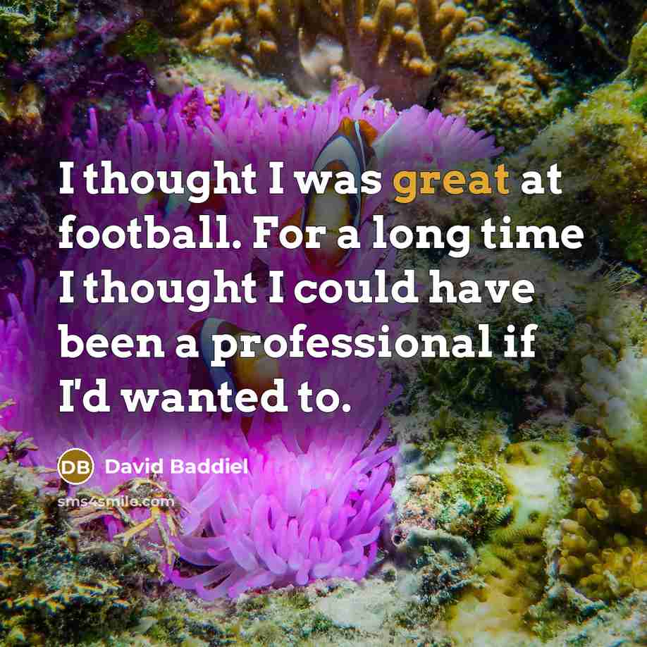 “I thought I was great at football. For a long…” quote by David Baddiel