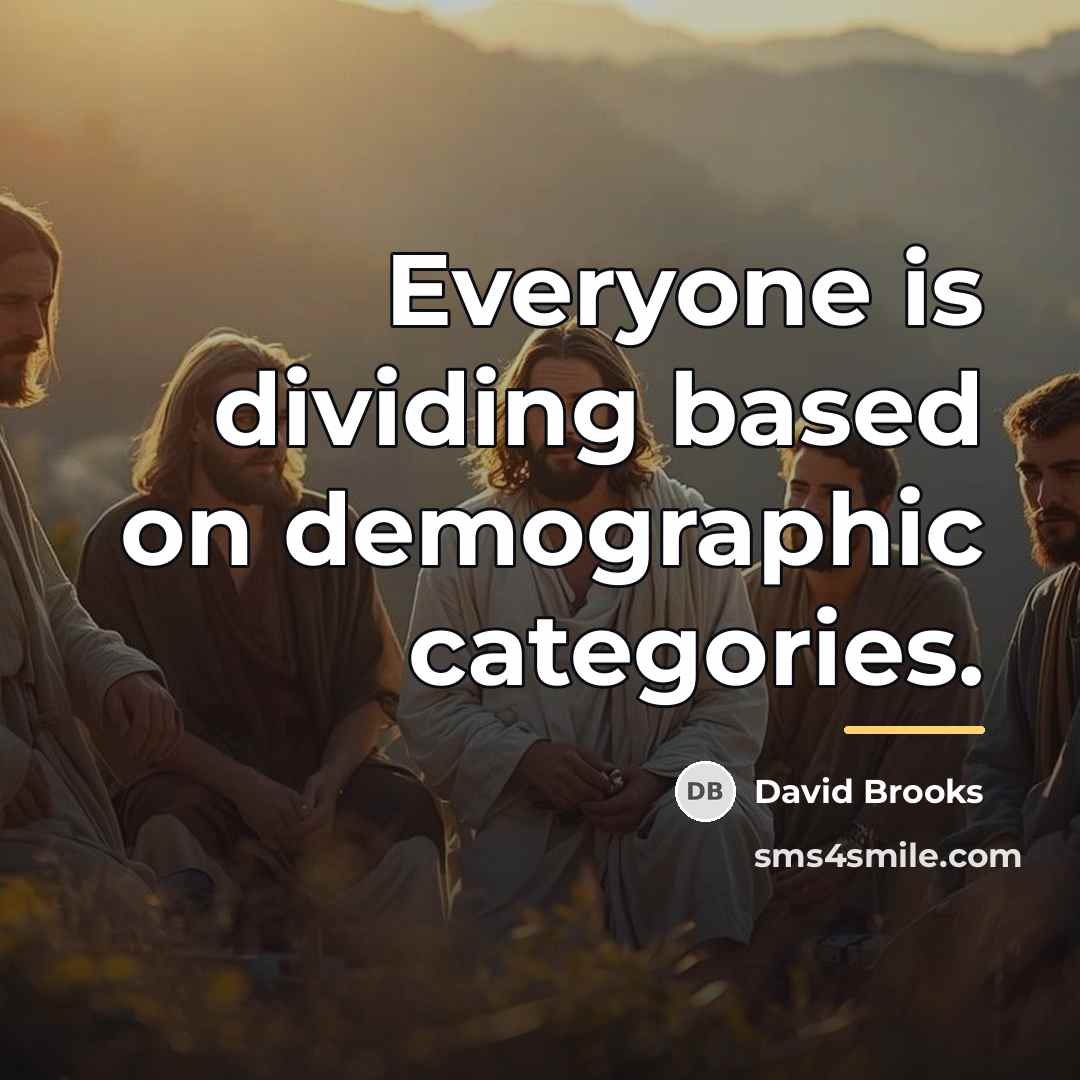 “Everyone is dividing based on demographic categories.…” quote by David Brooks