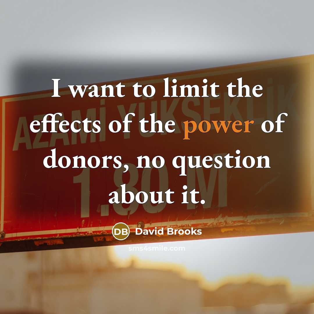 “I want to limit the effects of the power of…” quote by David Brooks