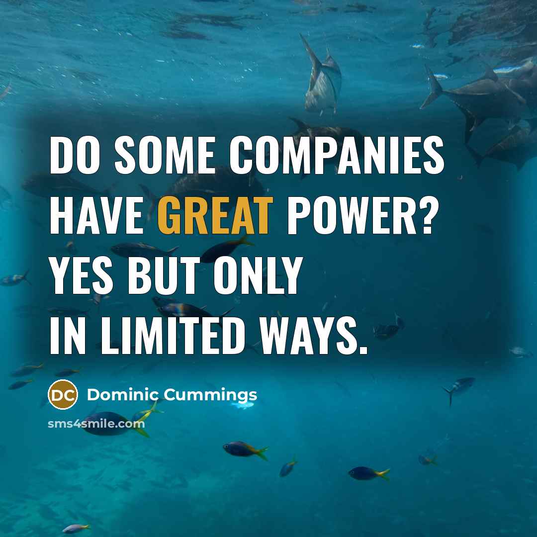 “Do some companies have great power? Yes but only in…” quote by Dominic Cummings