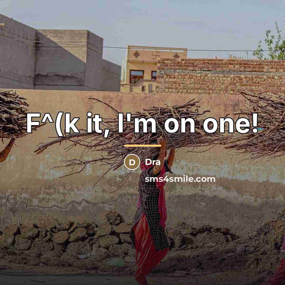 “F^(k it, I'm on one!…” quote by Dra