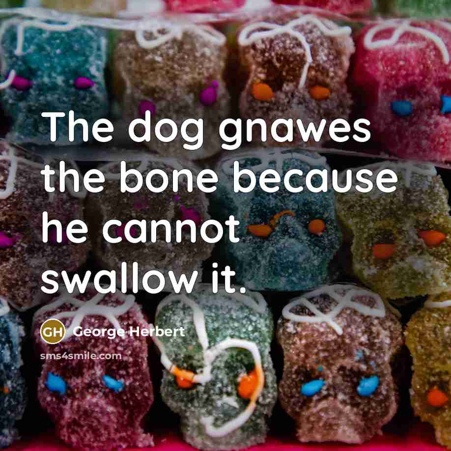 “The dog gnawes the bone because he cannot swallow it.…” quote by George Herbert
