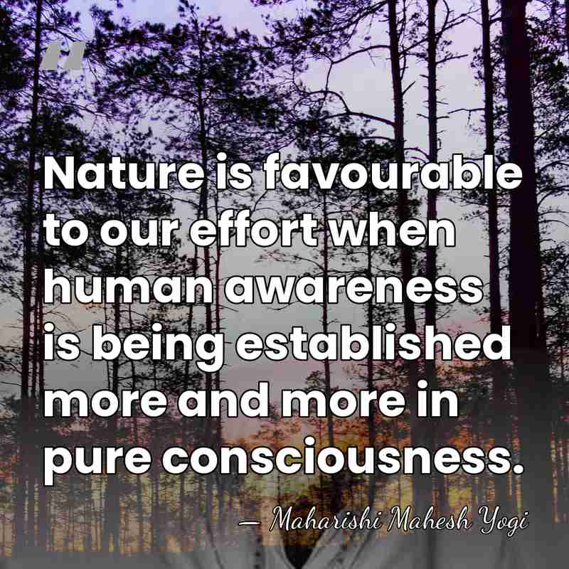 Nature is favourable to our effort when human awareness is being established&hellip; - Maharishi Mahesh Yogi