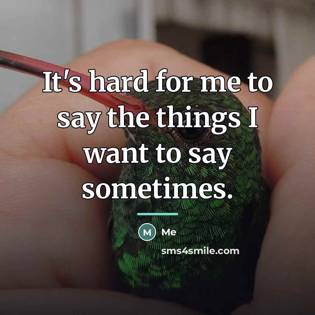 “It's hard for me to say the things I want…” quote by Me