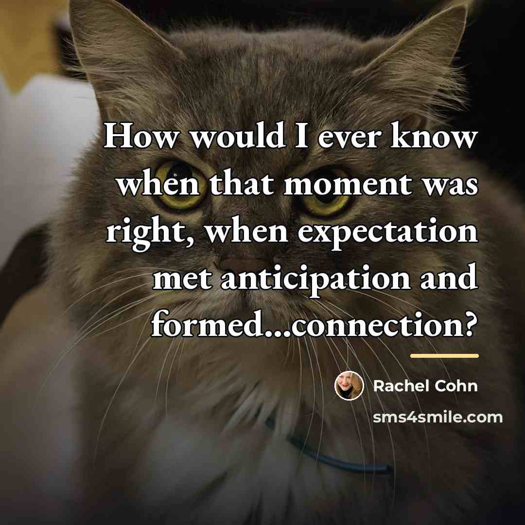 “How would I ever know when that moment was right,…” quote by Rachel Cohn