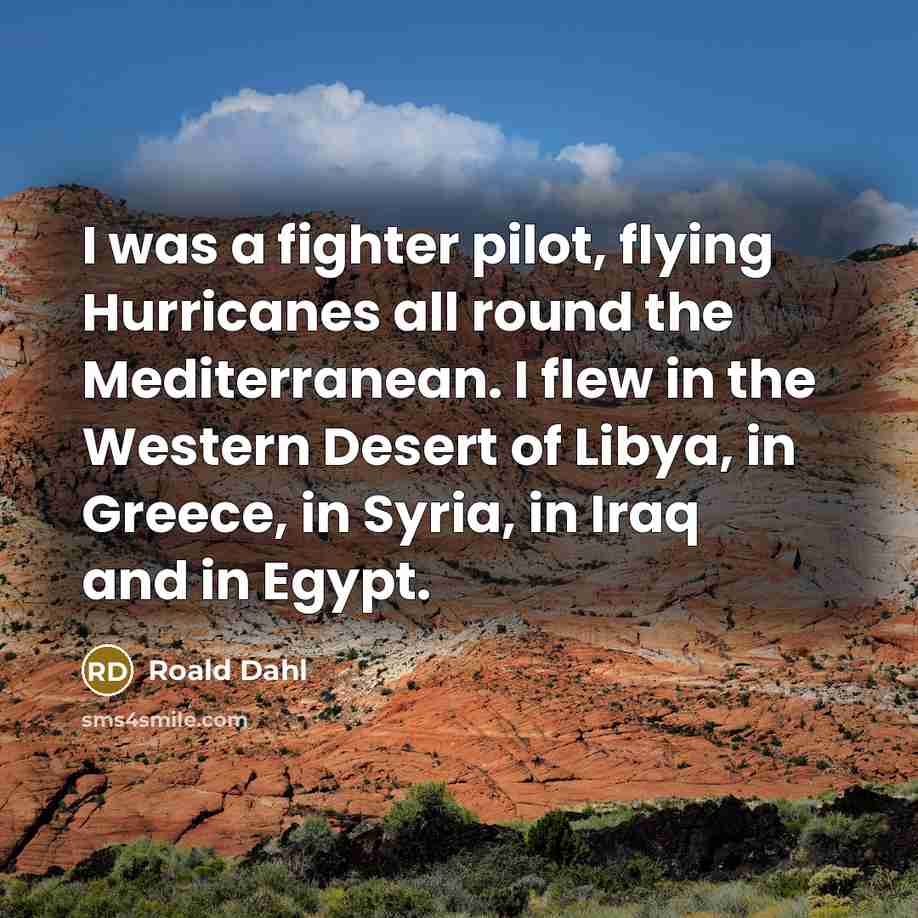 “I was a fighter pilot, flying Hurricanes all round the…” quote by Roald Dahl
