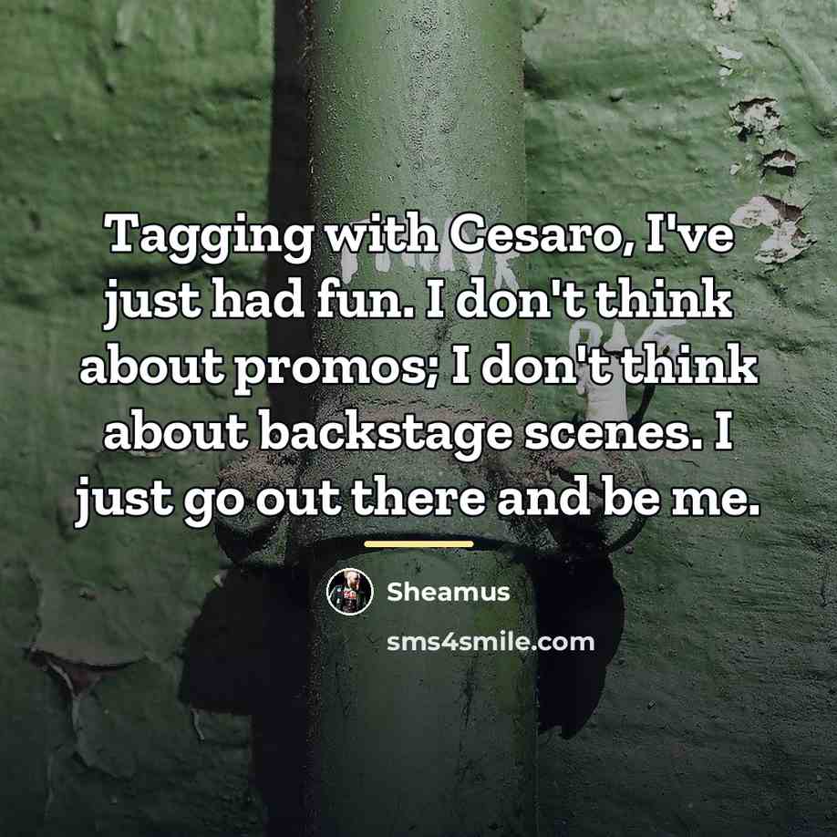 “Tagging with Cesaro, I've just had fun. I don't think…” quote by Sheamus