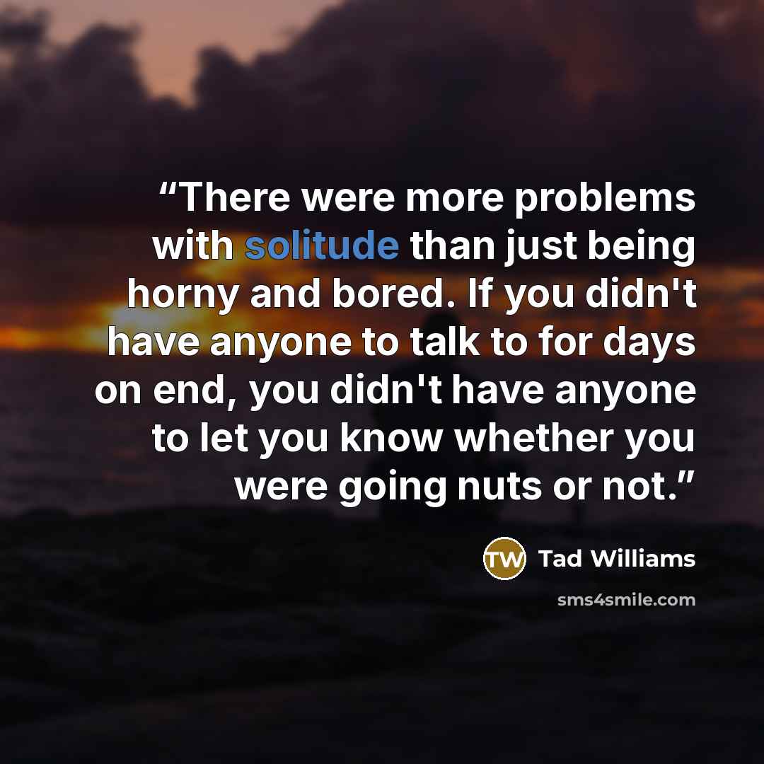 “There were more problems with solitude than just being horny and bored. If you didn't have anyone to talk to for days on end, you didn't have anyone to let you know whether you were going nuts or not.” quote by Tad Williams
