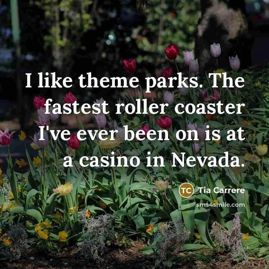 “I like theme parks. The fastest roller coaster I've ever…” quote by Tia Carrere