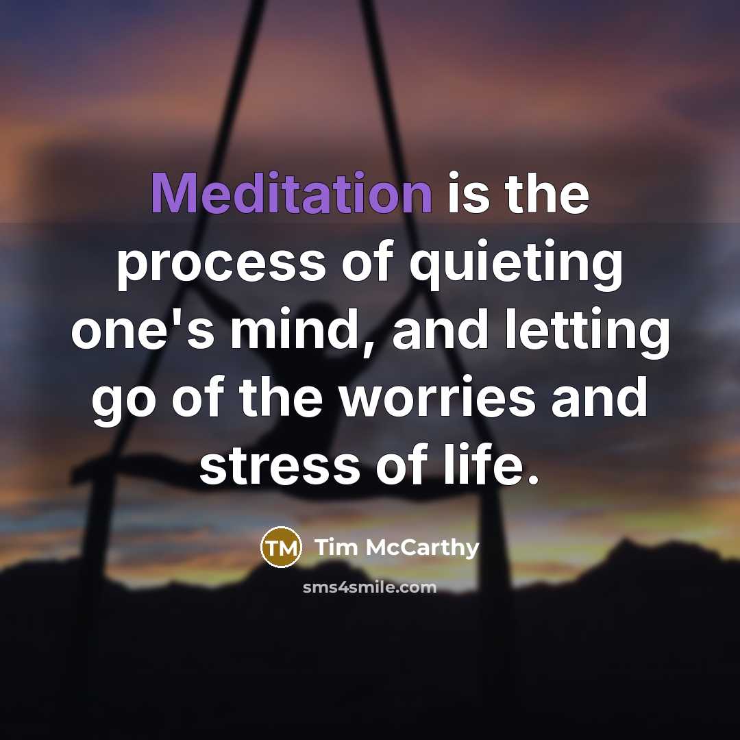 “Meditation is the process of quieting one's mind, and letting…” quote by Tim McCarthy
