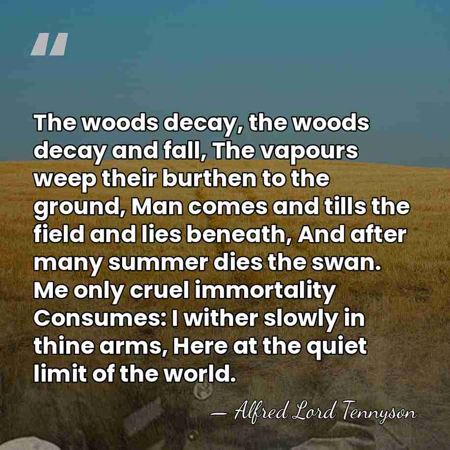 The woods decay, the woods decay and fall, The vapours weep their&hellip; - Alfred Lord Tennyson