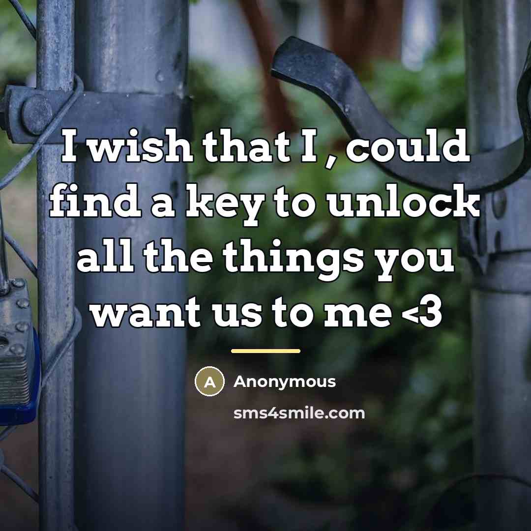 “I wish that I , could find a key to…” quote by Anonymous