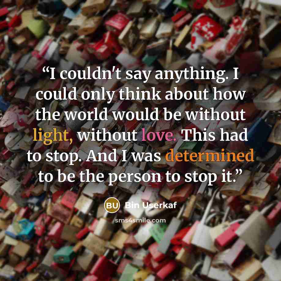 “I couldn't say anything. I could only think about how the world would be without light, without love. This had to stop. And I was determined to be the person to stop it.” quote by Bin Userkaf