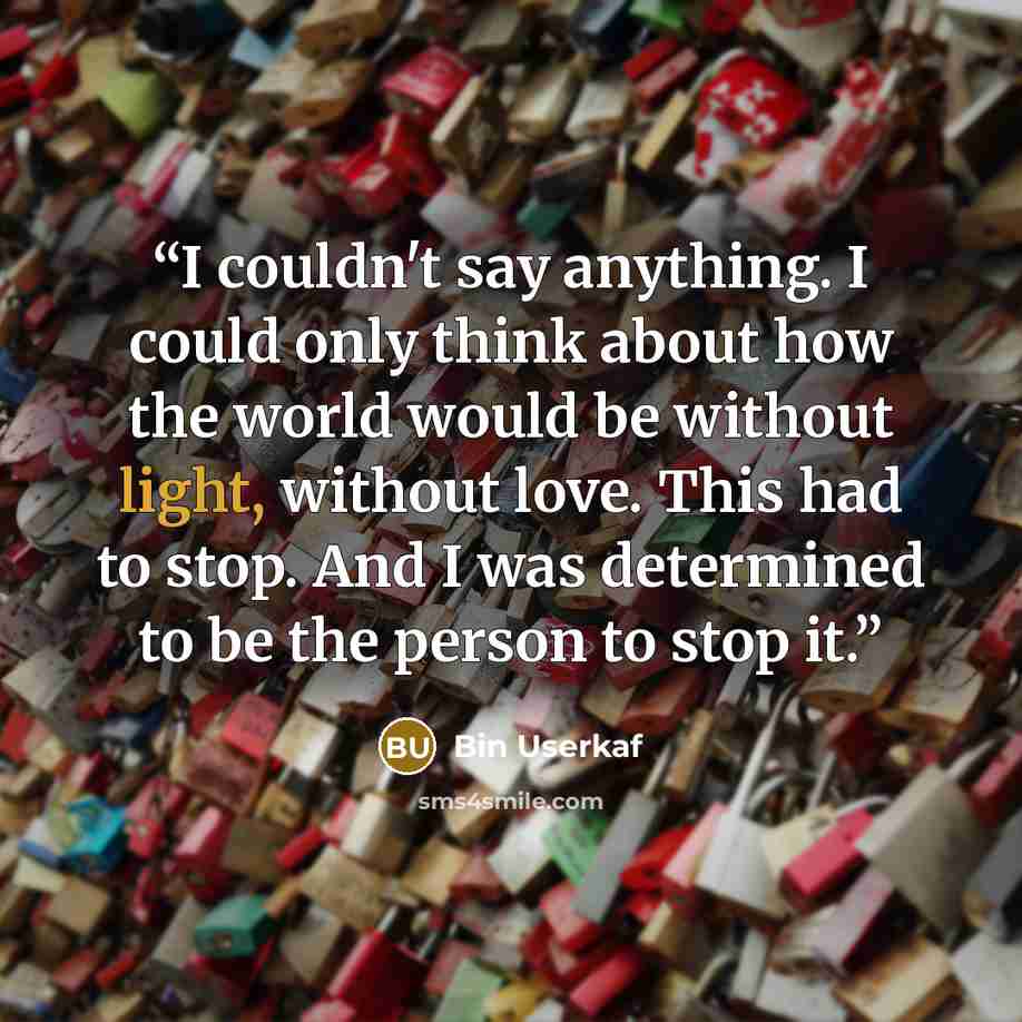 “I couldn't say anything. I could only think about how the world would be without light, without love. This had to stop. And I was determined to be the person to stop it.” quote by Bin Userkaf