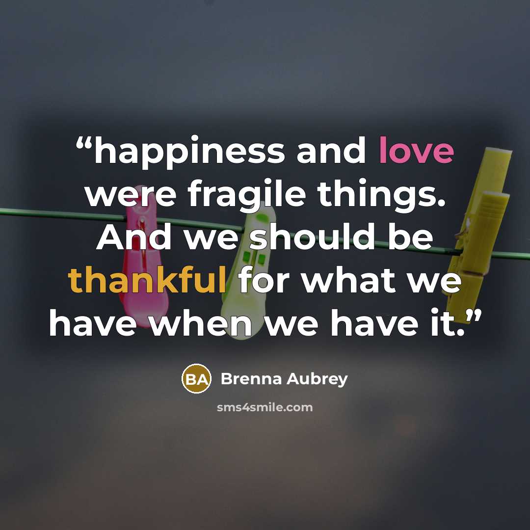 “happiness and love were fragile things. And we should be thankful for what we have when we have it.” quote by Brenna Aubrey
