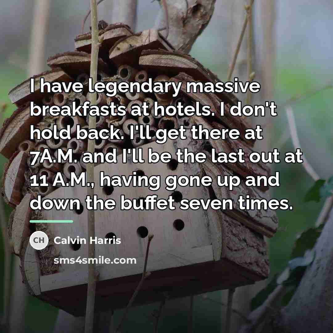 “I have legendary massive breakfasts at hotels. I don't hold…” quote by Calvin Harris
