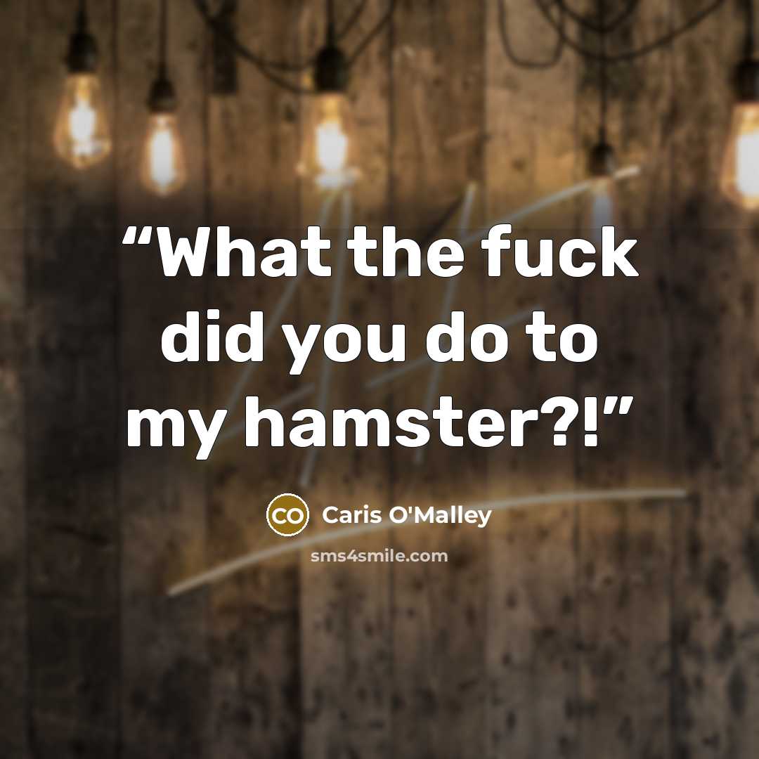 “What the fuck did you do to my hamster?!” quote by Caris O'Malley