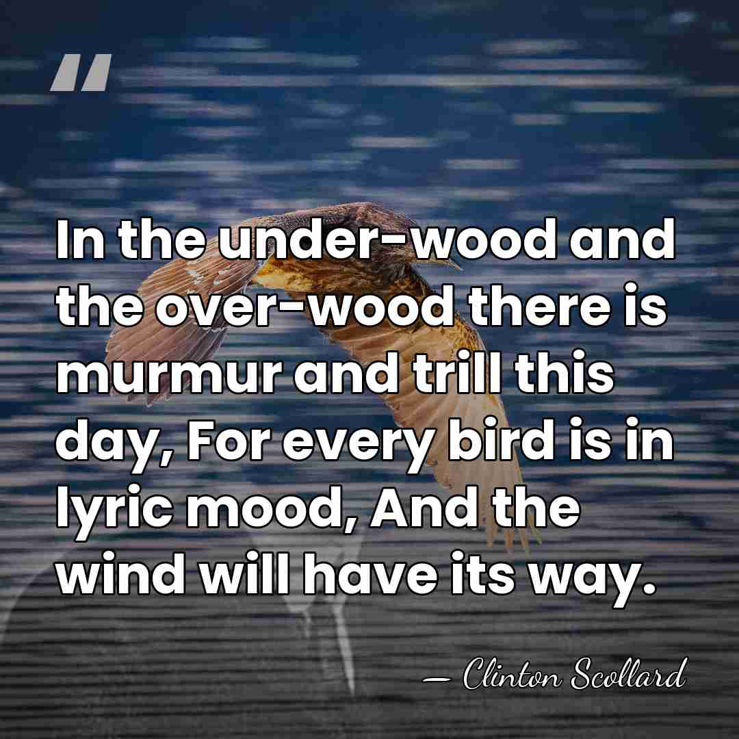 In the under-wood and the over-wood there is murmur and trill this&hellip; - Clinton Scollard