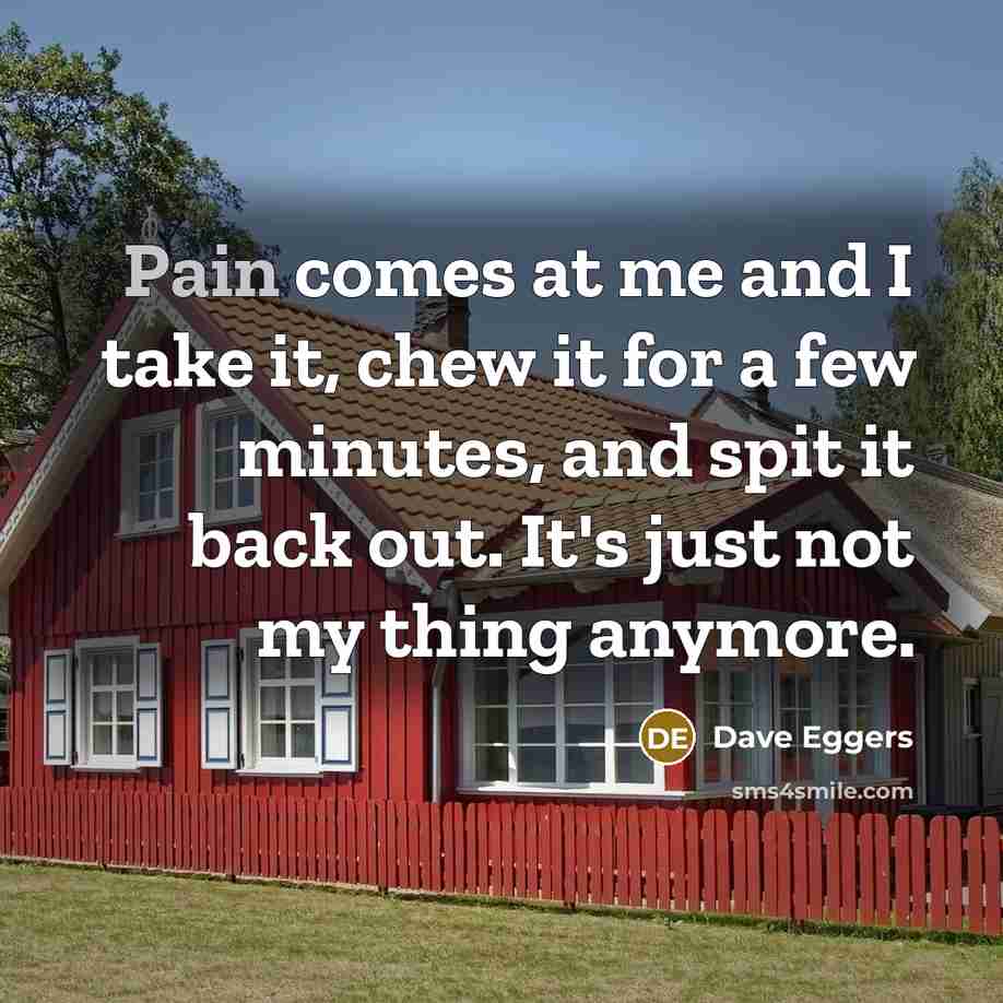 “Pain comes at me and I take it, chew it…” quote by Dave Eggers