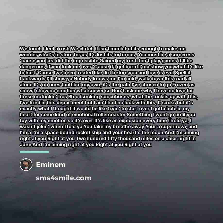 “We touch I feel a rush We clutch It isn't…” quote by Eminem
