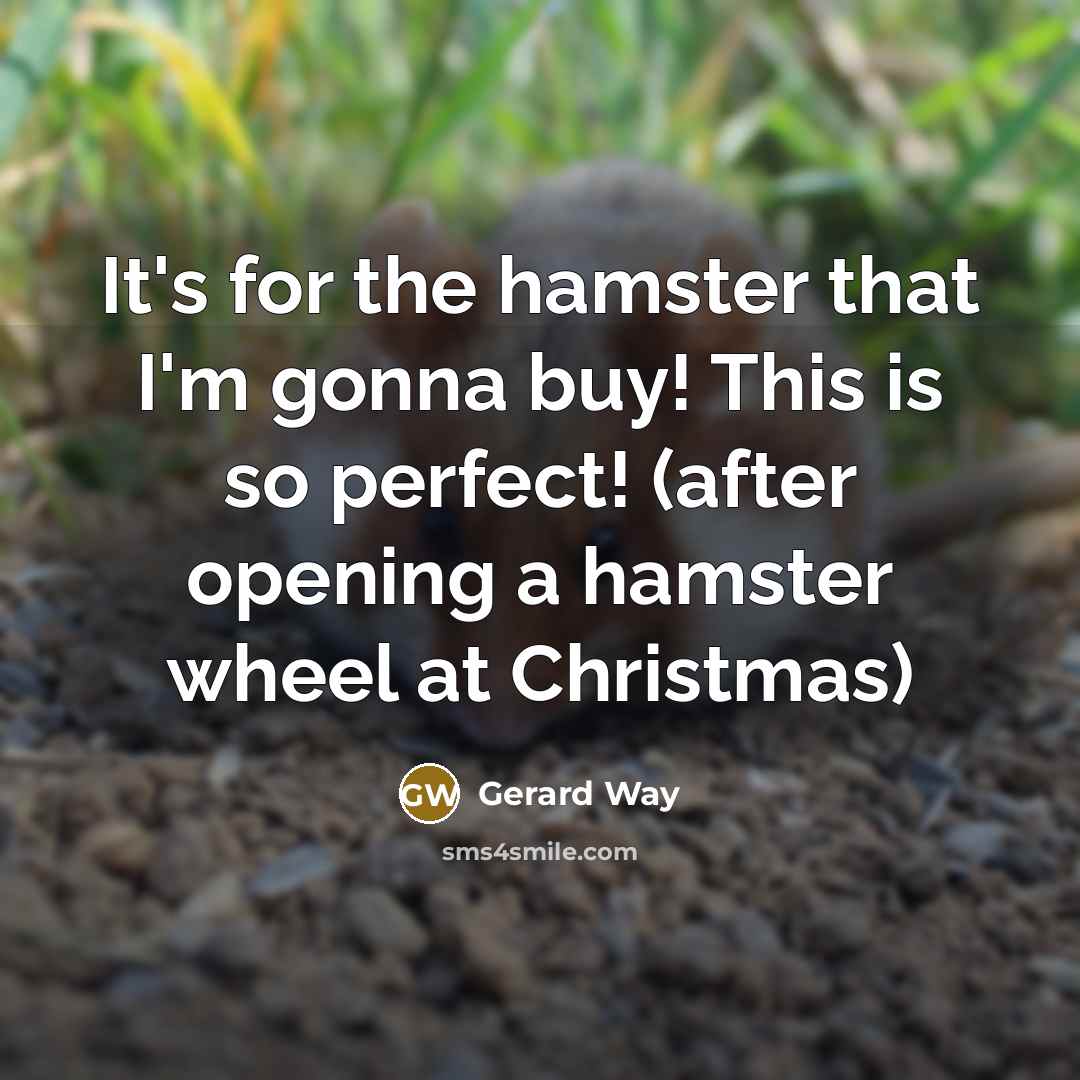 “It's for the hamster that I'm gonna buy! This is…” quote by Gerard Way