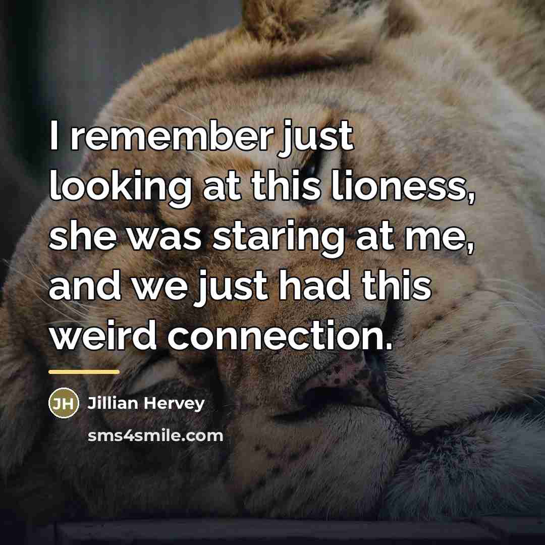 “I remember just looking at this lioness, she was staring…” quote by Jillian Hervey