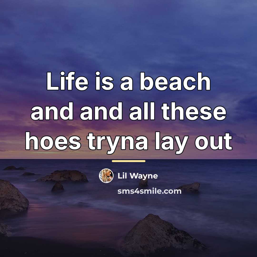 “Life is a beach and and all these hoes tryna…” quote by Lil Wayne