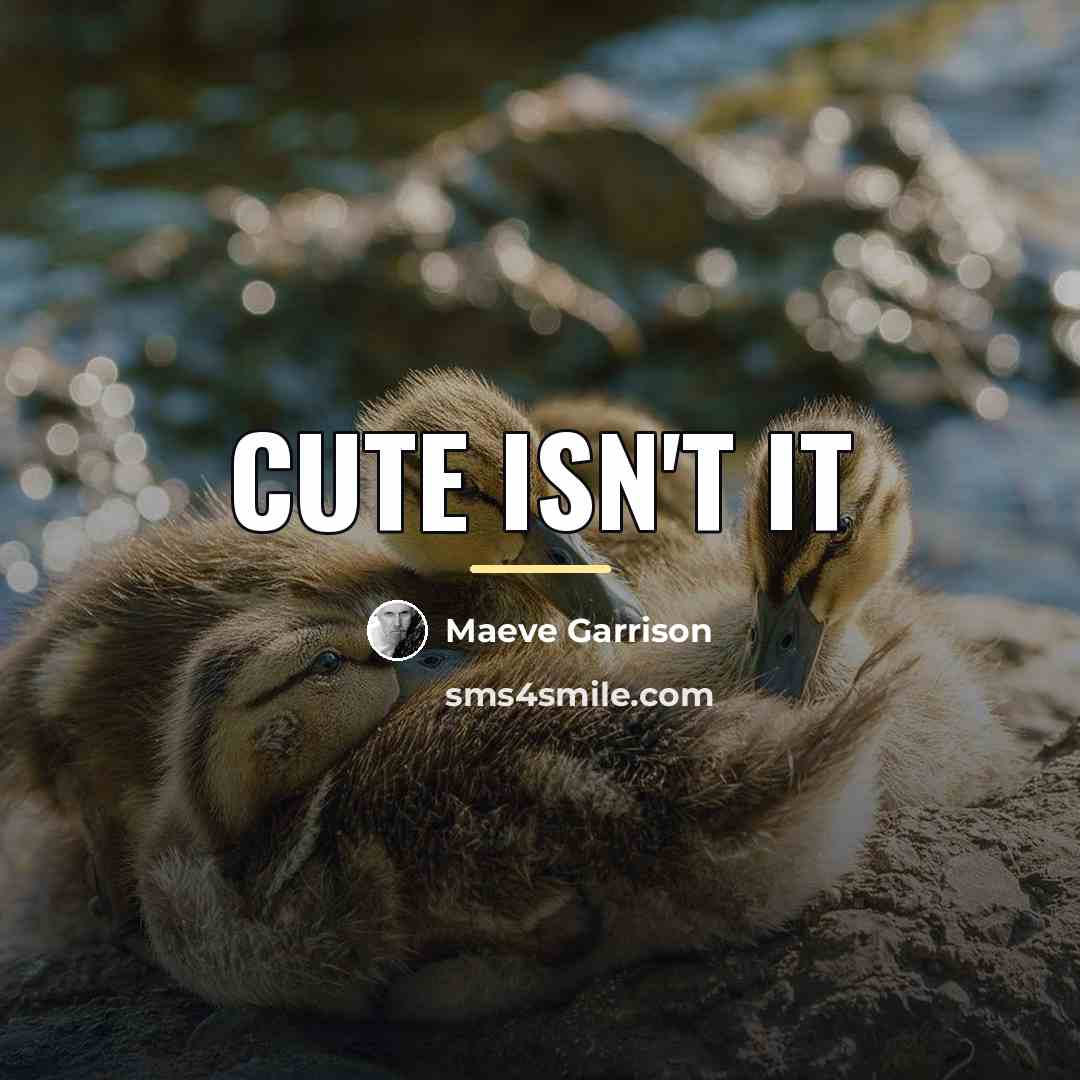 “Cute isn't it…” quote by Maeve Garrison