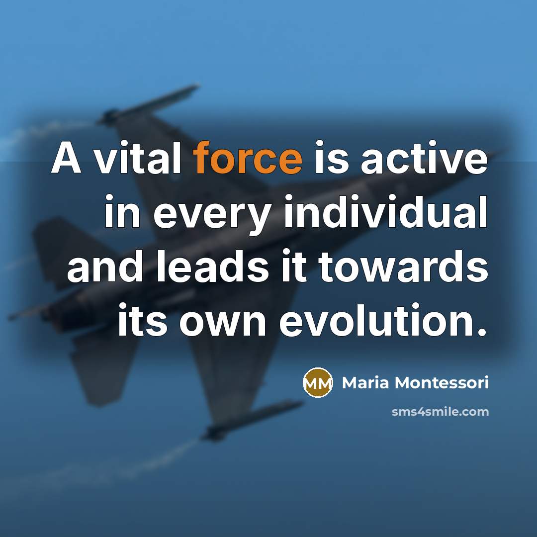 “A vital force is active in every individual and leads…” quote by Maria Montessori