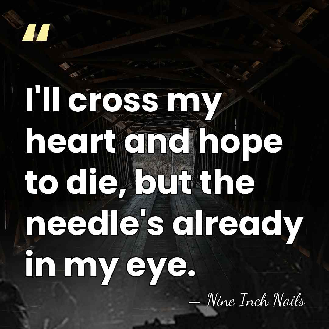 I'll cross my heart and hope to die, but the needle's already&hellip; - Nine Inch Nails