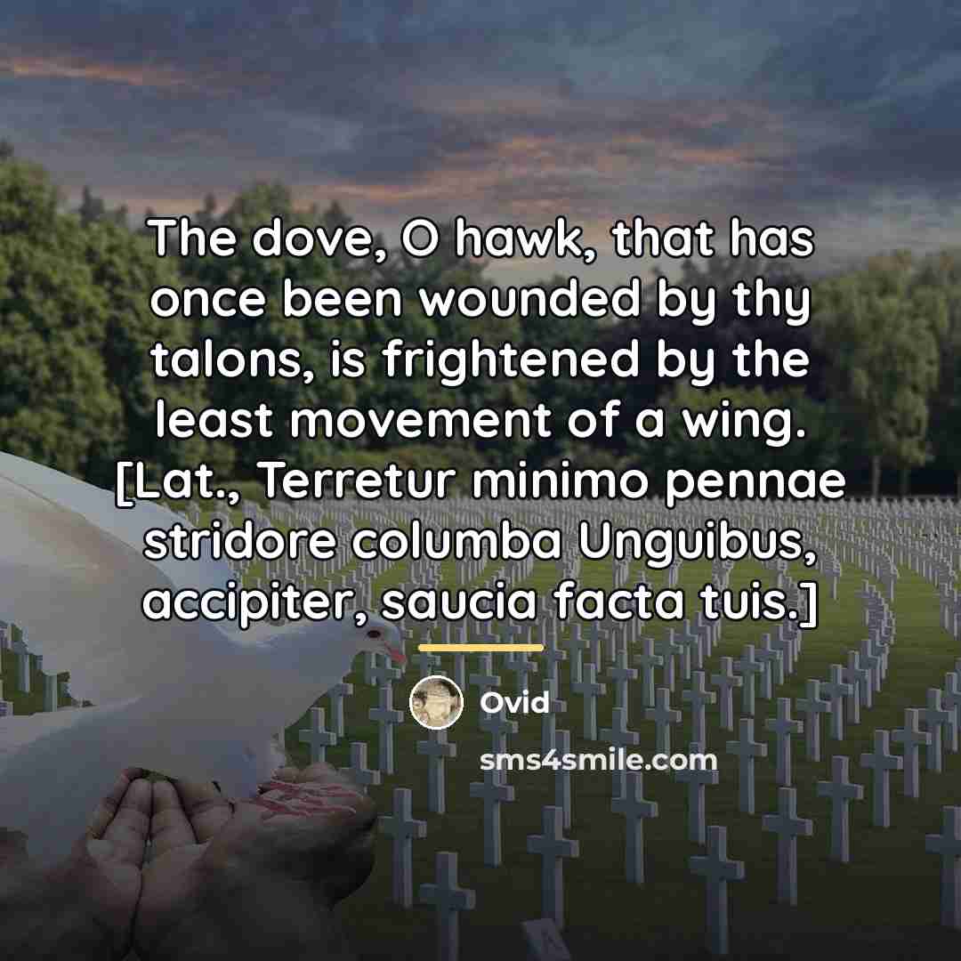 “The dove, O hawk, that has once been wounded by…” quote by Ovid