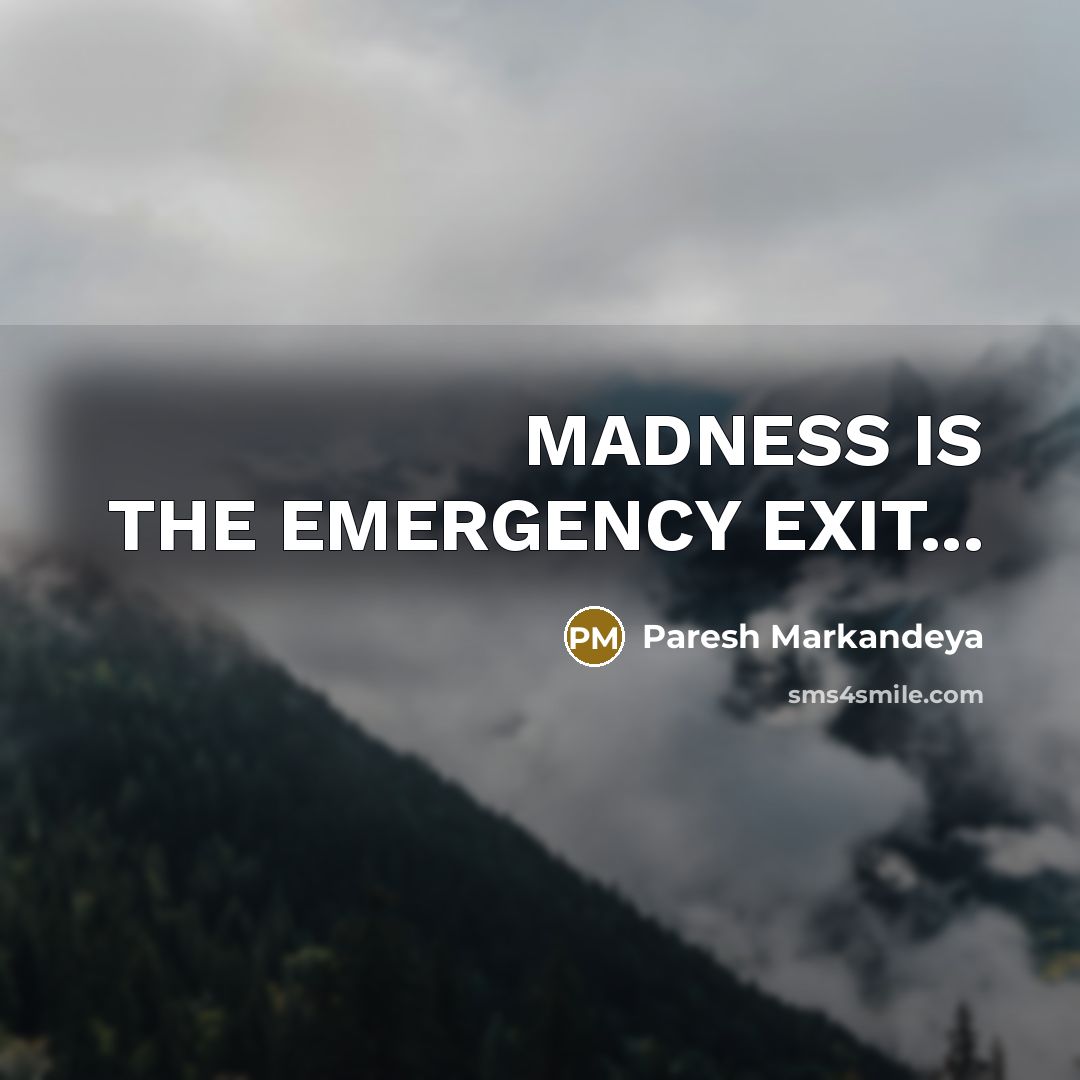 “MADNESS IS THE EMERGENCY EXIT...” quote by Paresh Markandeya