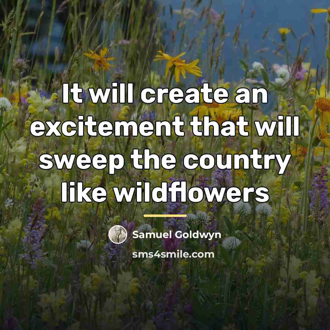 “It will create an excitement that will sweep the country…” quote by Samuel Goldwyn