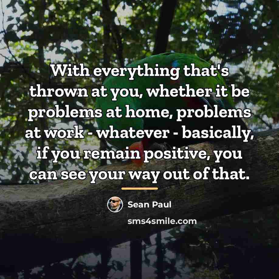 “With everything that's thrown at you, whether it be problems…” quote by Sean Paul