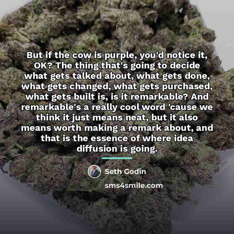 “But if the cow is purple, you'd notice it, OK?…” quote by Seth Godin