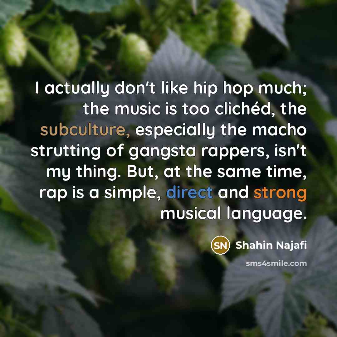 “I actually don't like hip hop much; the music is…” quote by Shahin Najafi