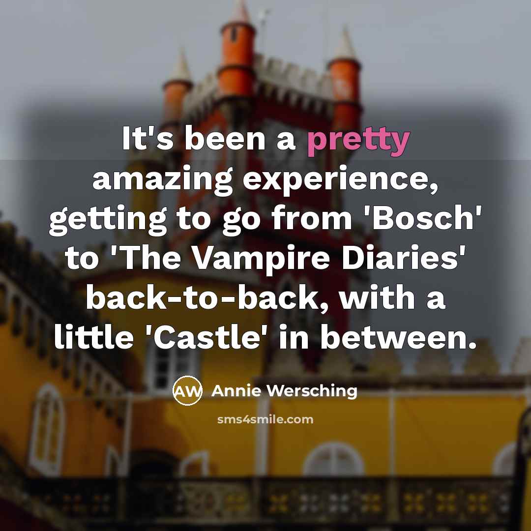 “It's been a pretty amazing experience, getting to go from…” quote by Annie Wersching