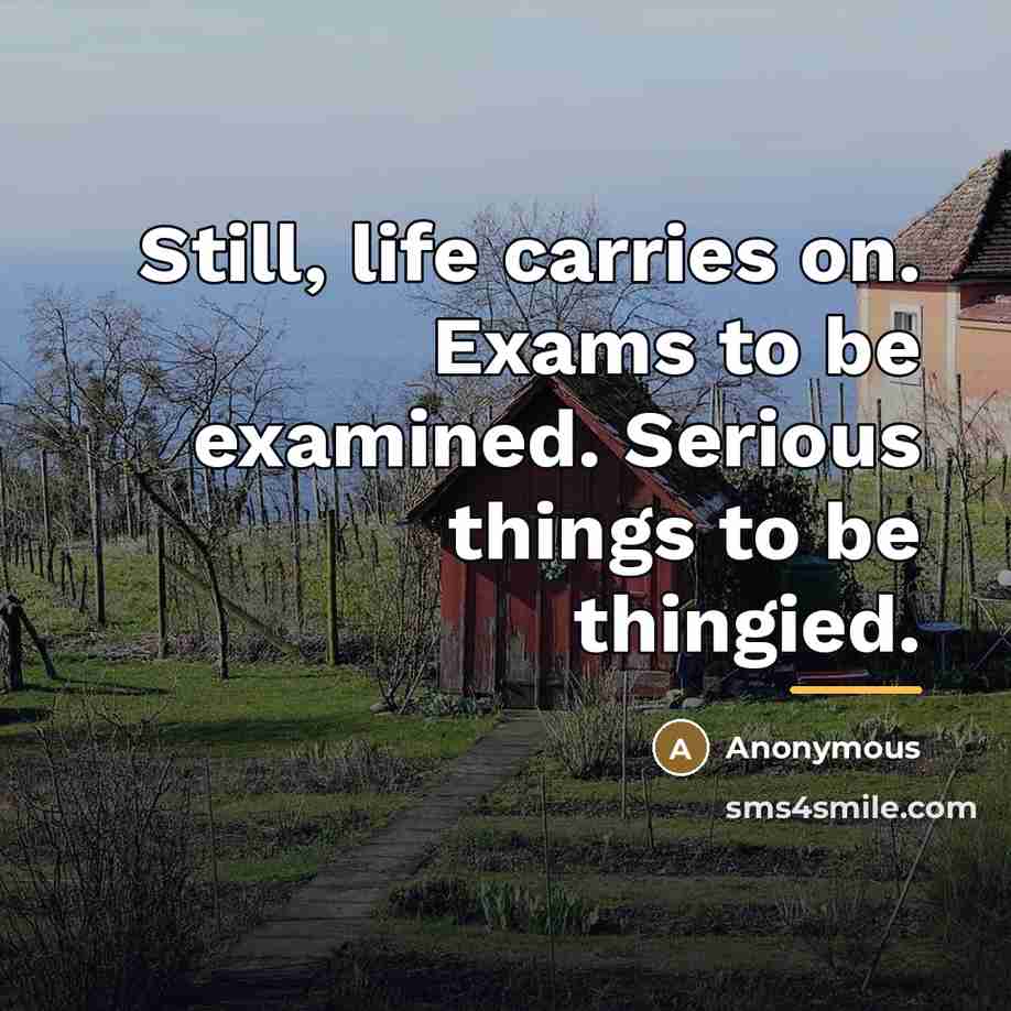 “Still, life carries on. Exams to be examined. Serious things…” quote by Anonymous