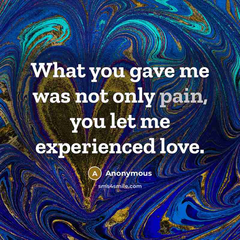 “What you gave me was not only pain, you let…” quote by Anonymous