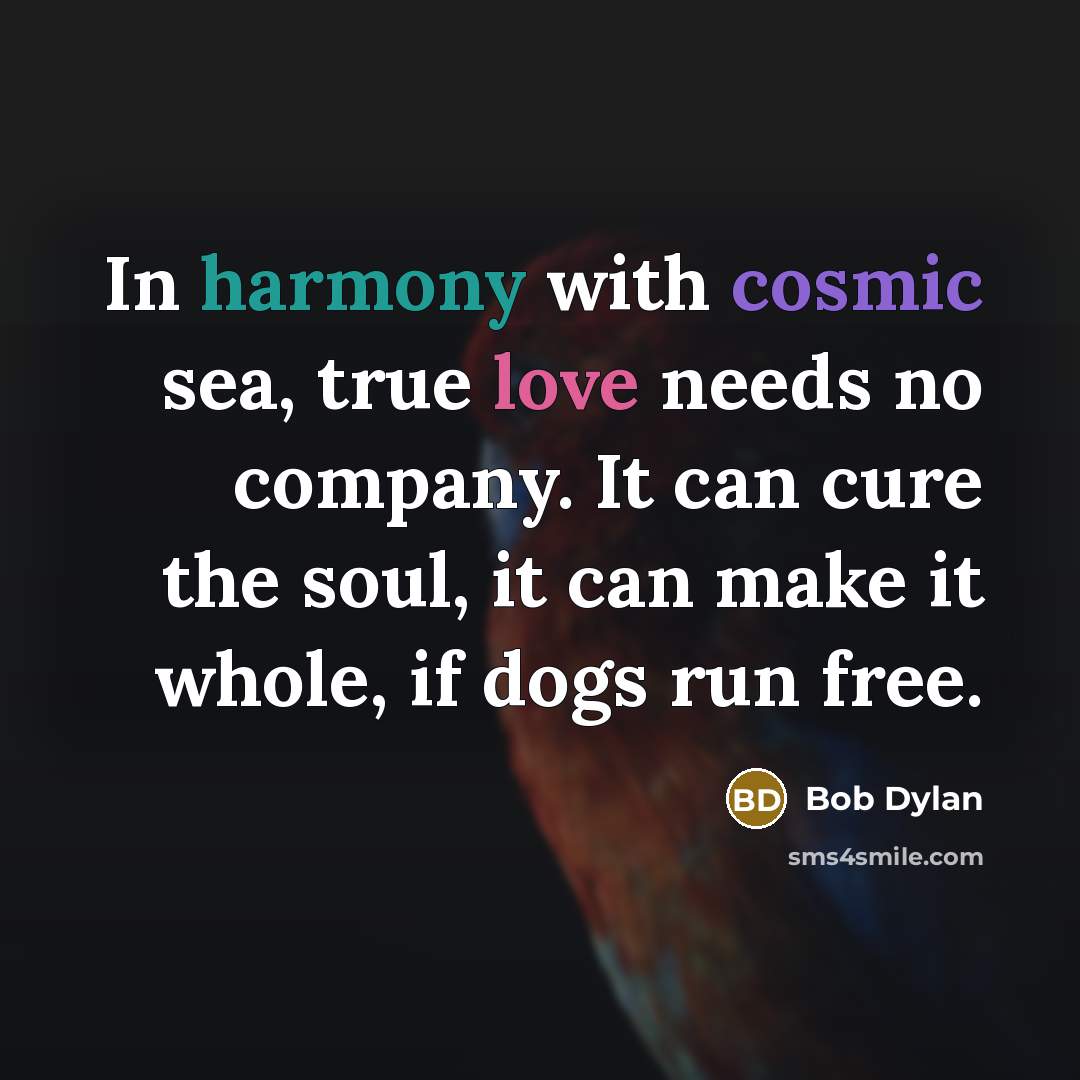 “In harmony with cosmic sea, true love needs no company. It can cure the soul, it can make it whole, if dogs run free.” quote by Bob Dylan