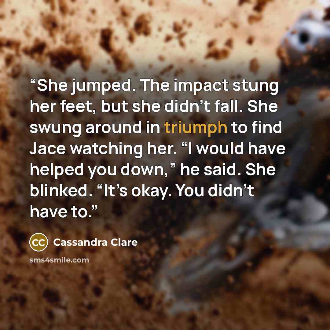 “She jumped. The impact stung her feet, but she didn’t fall. She swung around in triumph to find Jace watching her. “I would have helped you down,” he said. She blinked. “It’s okay. You didn’t have to.” quote by Cassandra Clare