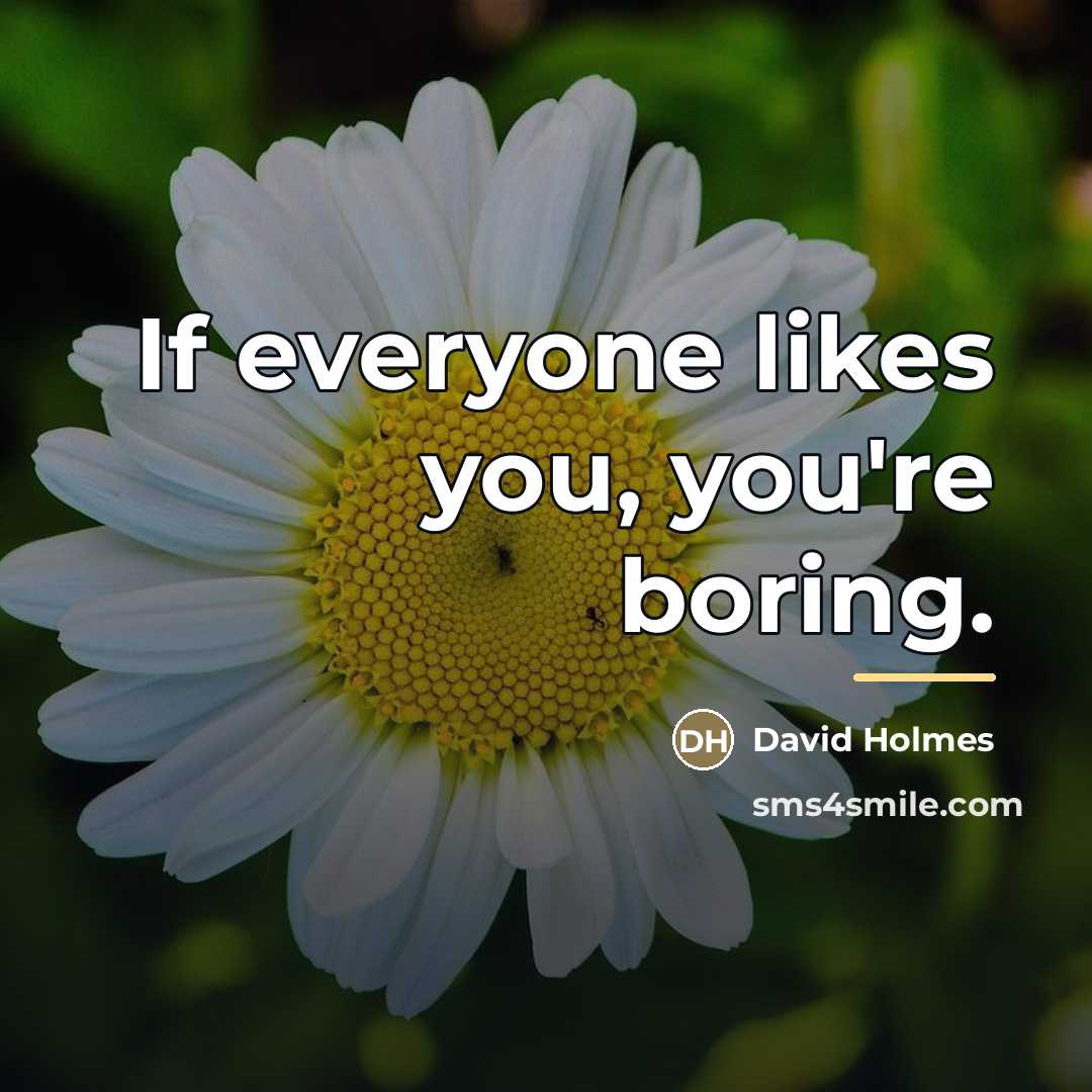 “If everyone likes you, you're boring.…” quote by David Holmes