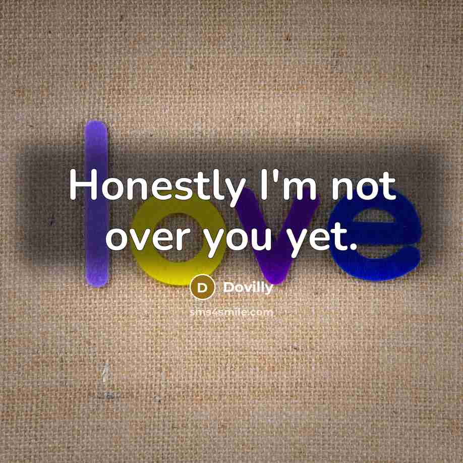 “Honestly I'm not over you yet.…” quote by Dovilly
