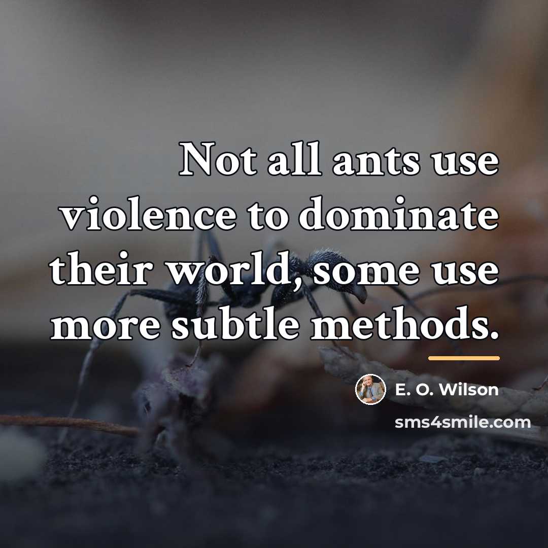 “Not all ants use violence to dominate their world, some…” quote by E. O. Wilson